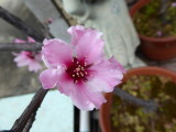 img0004.jpg