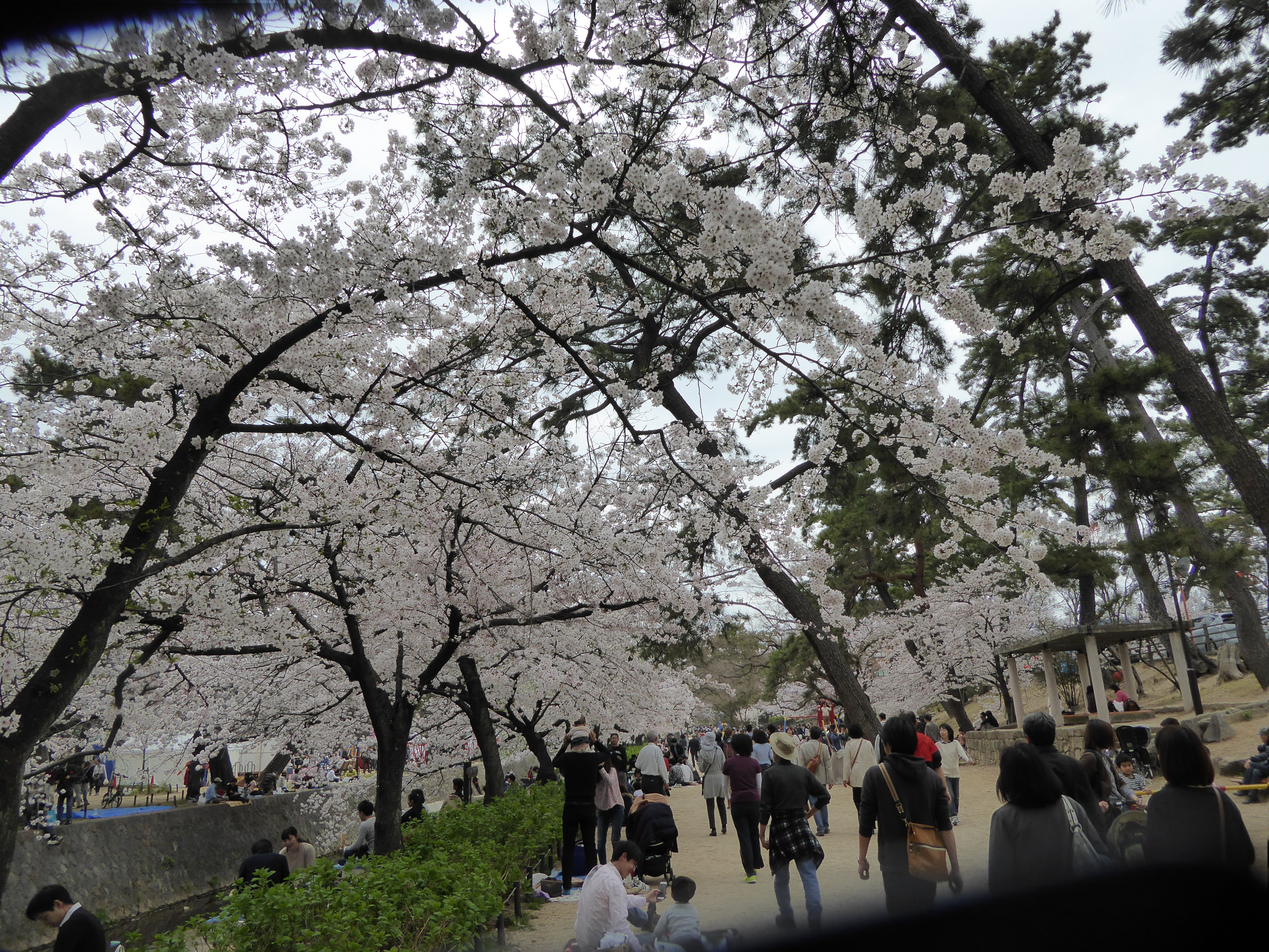 P1050575.JPG