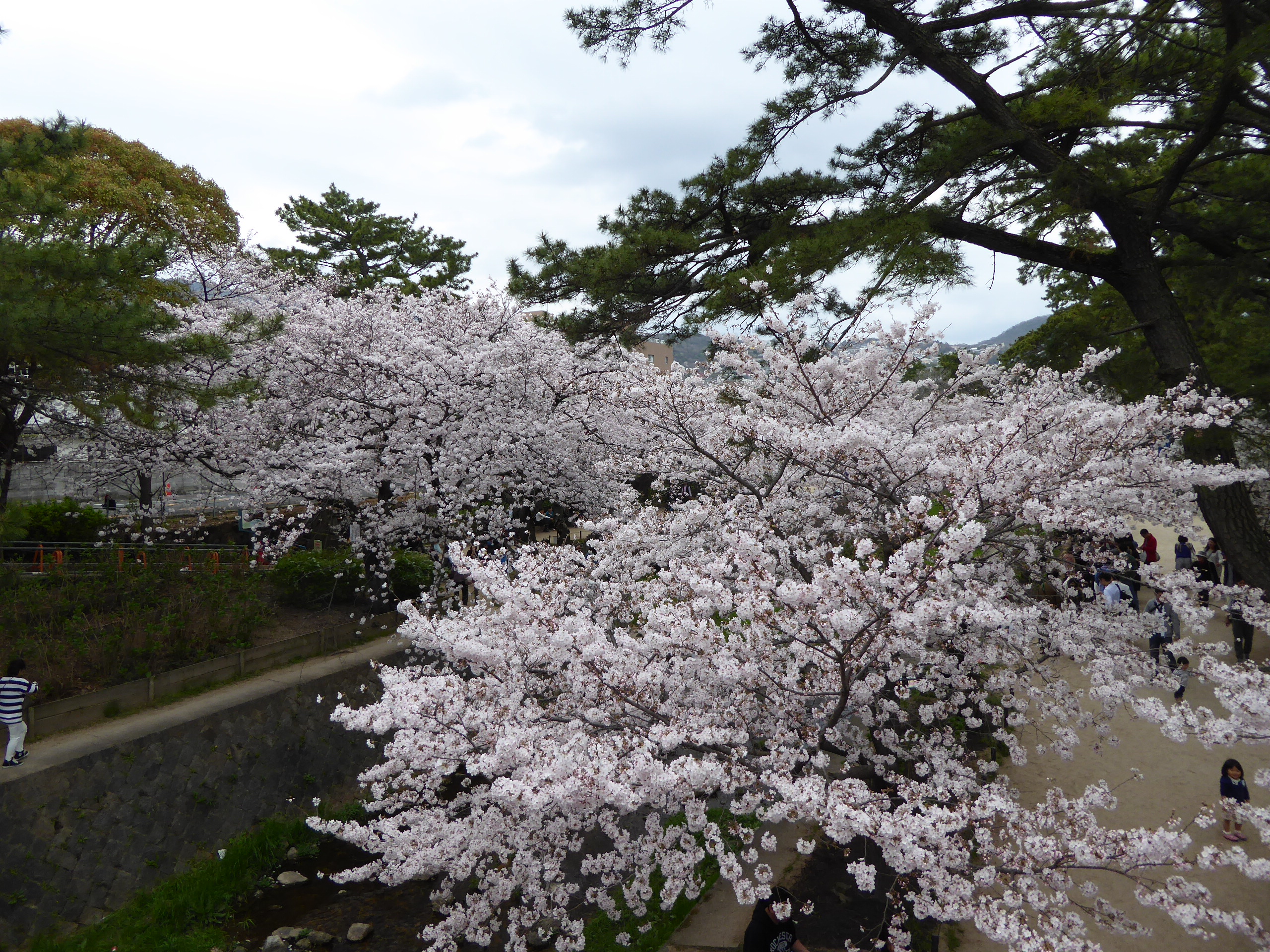 P1050581.JPG