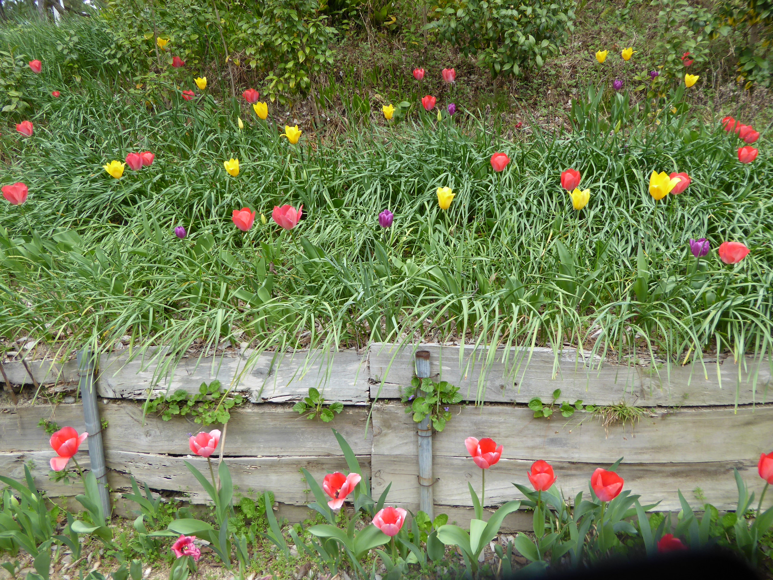 P1050582.JPG