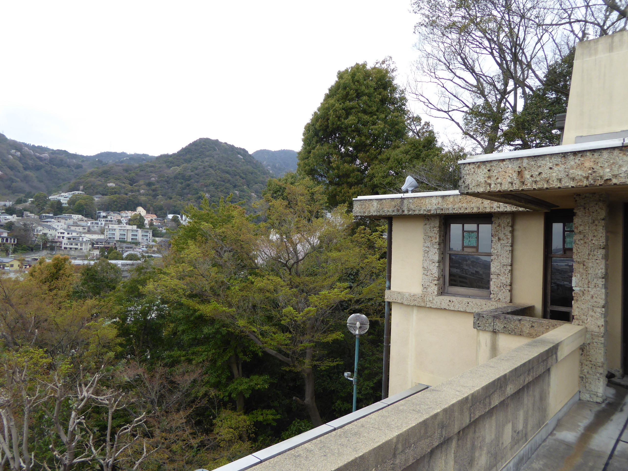 P1050589.JPG