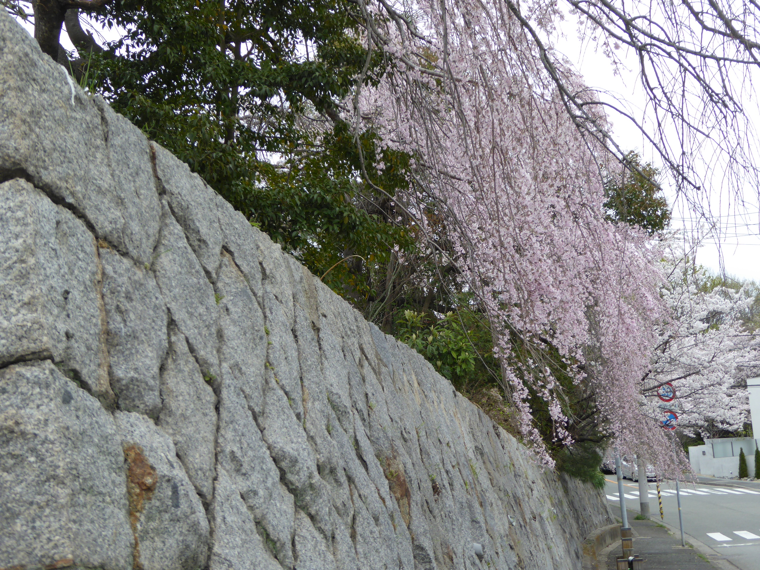 P1050596.JPG