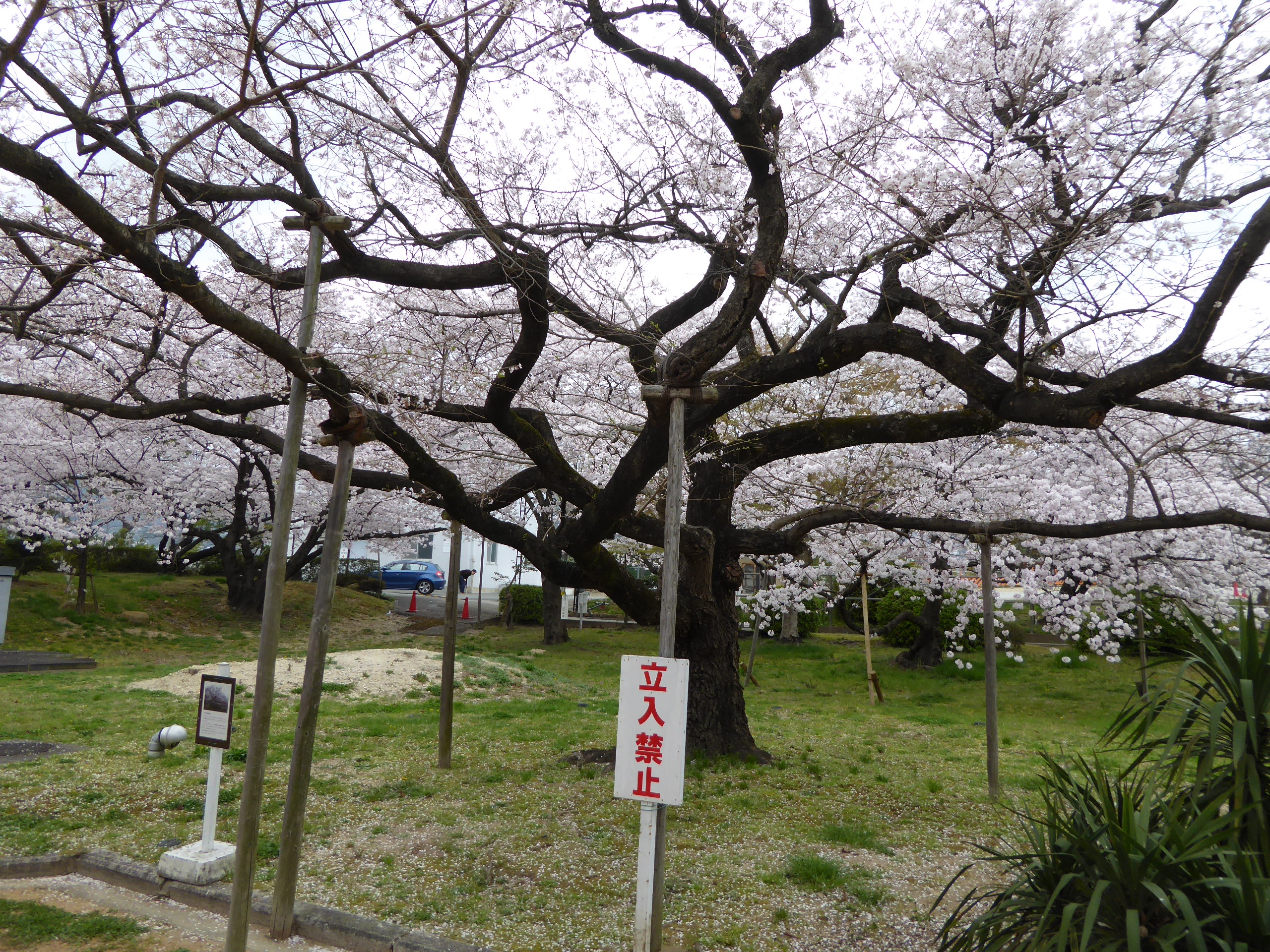 P1050599.JPG