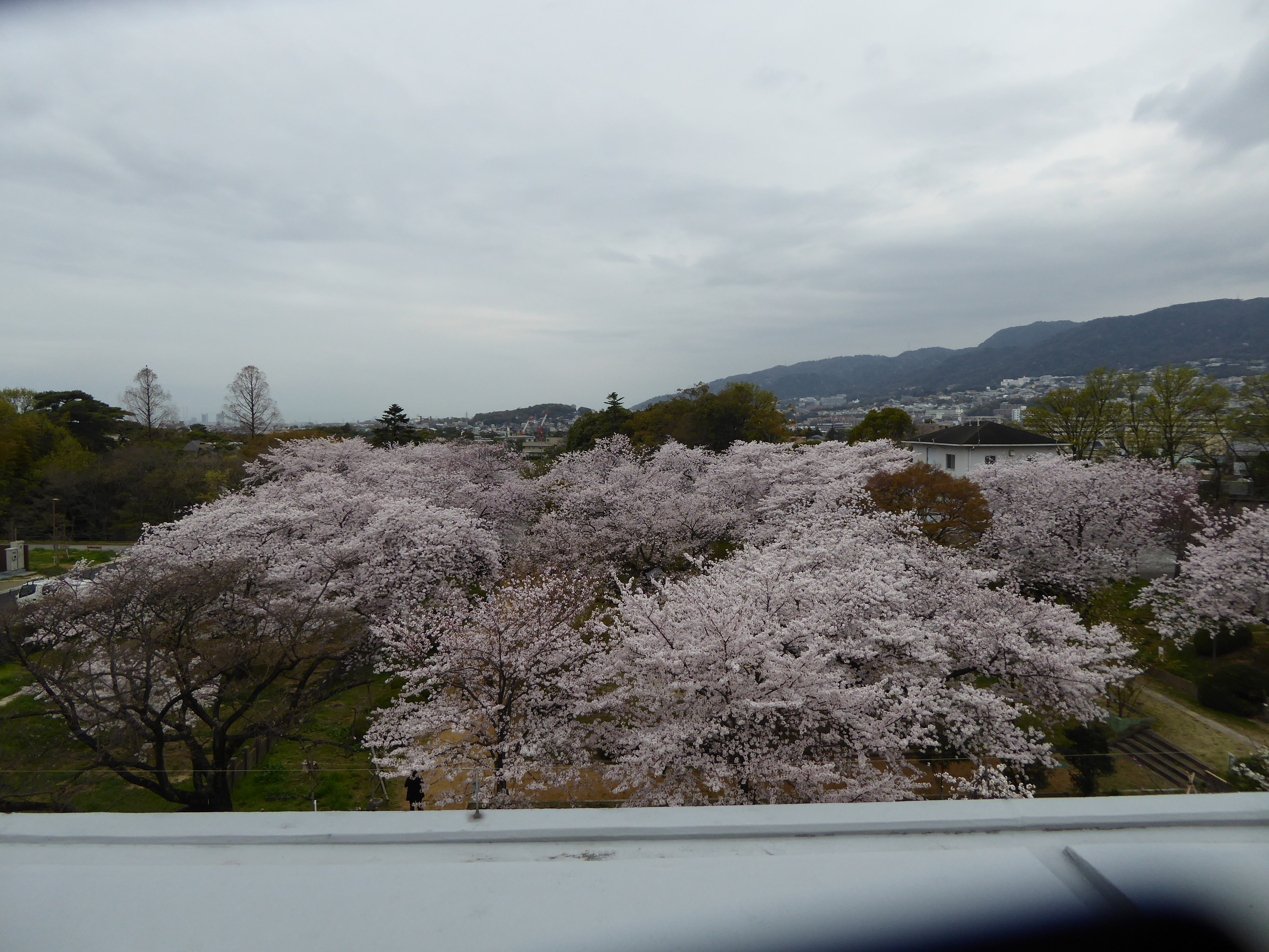 P1050600.JPG