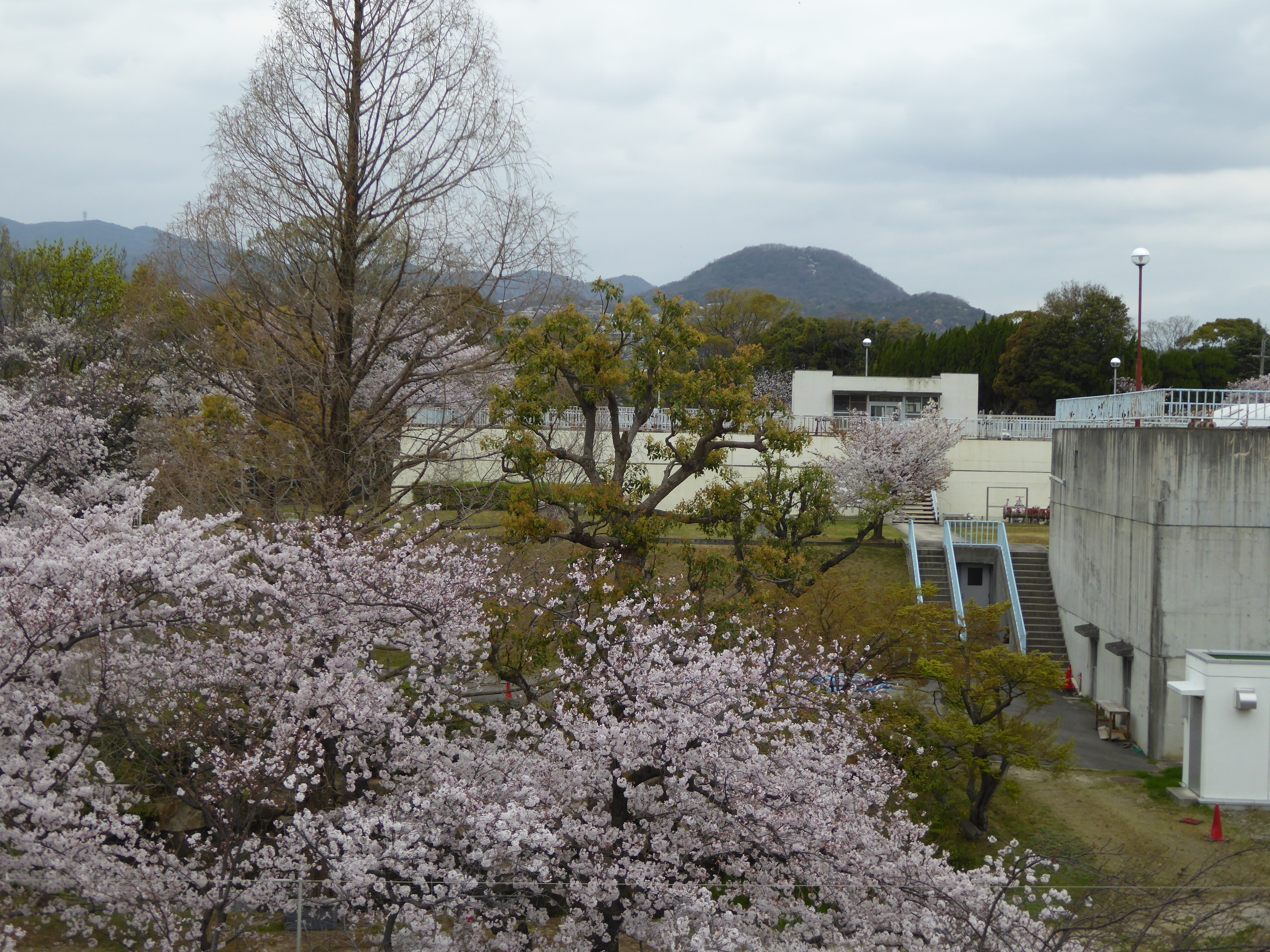 P1050602.JPG