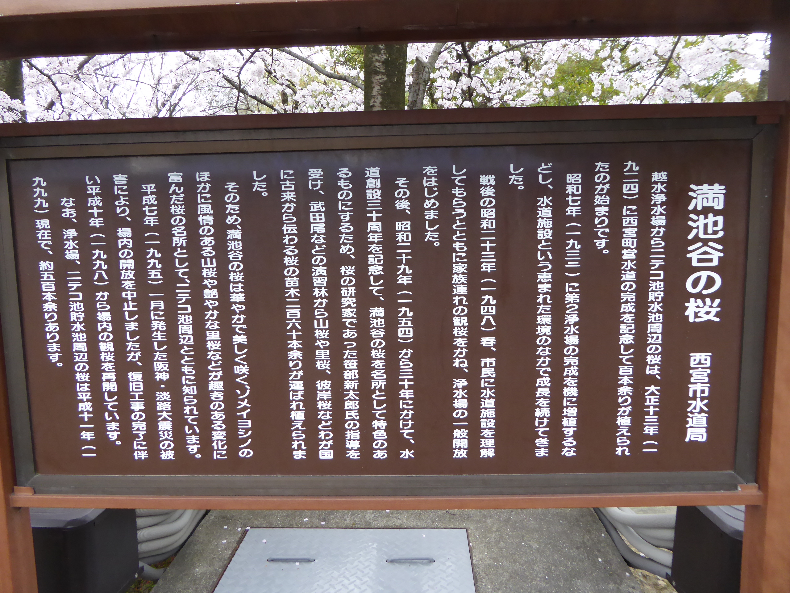 P1050610.JPG