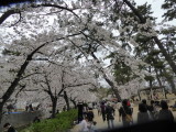 img0001.jpg