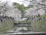 img0003.jpg