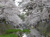 img0004.jpg
