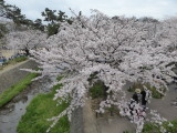 img0006.jpg