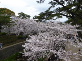 img0007.jpg