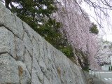 img0022.jpg