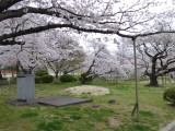 img0024.jpg