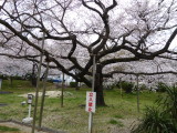 img0025.jpg