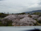 img0026.jpg