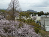 img0028.jpg