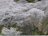 img0029.jpg