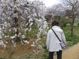 img0030.jpg