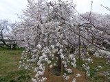 img0032.jpg