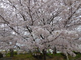 img0033.jpg