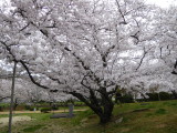 img0035.jpg