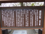 img0036.jpg