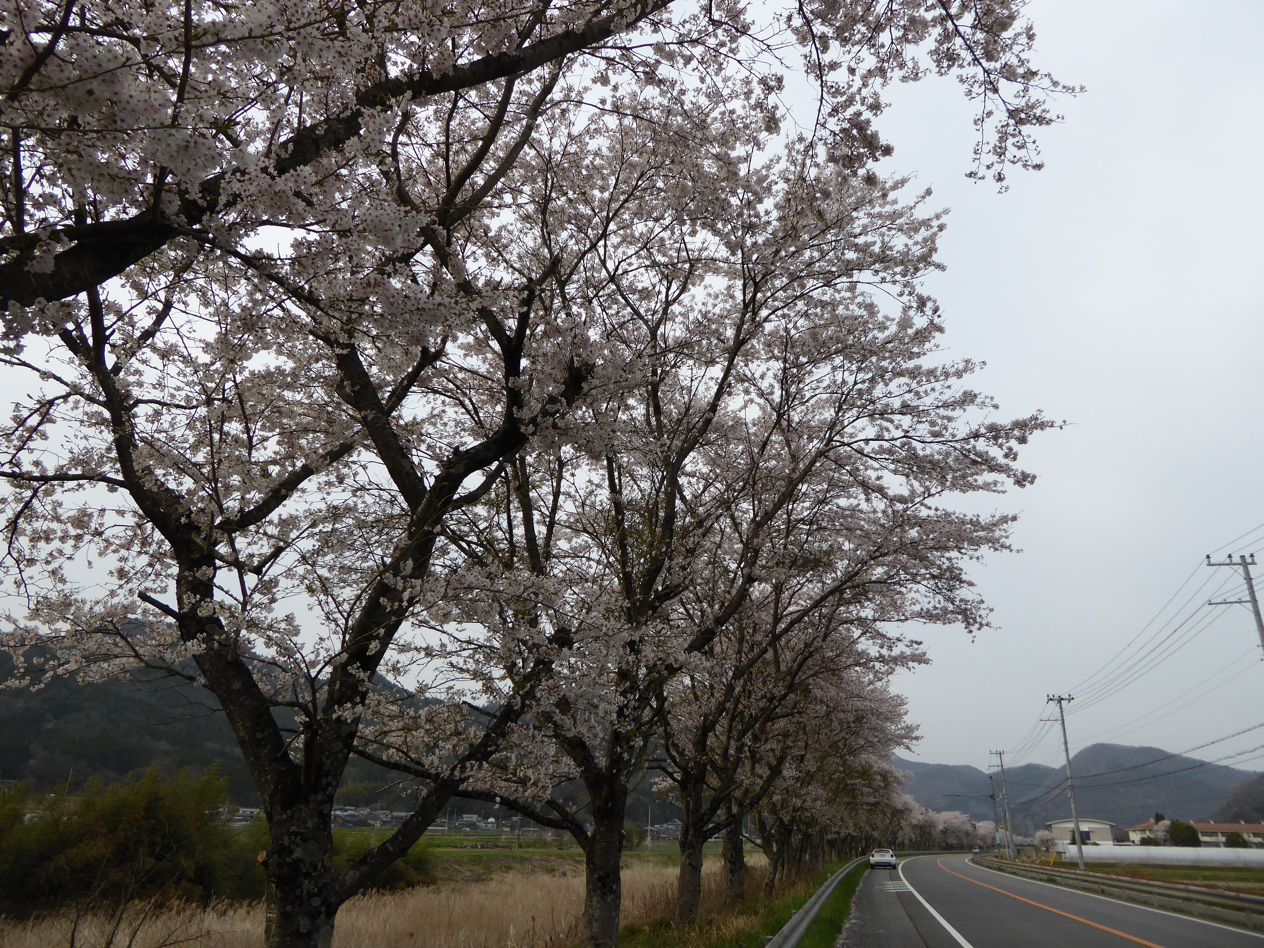 P1050615.JPG