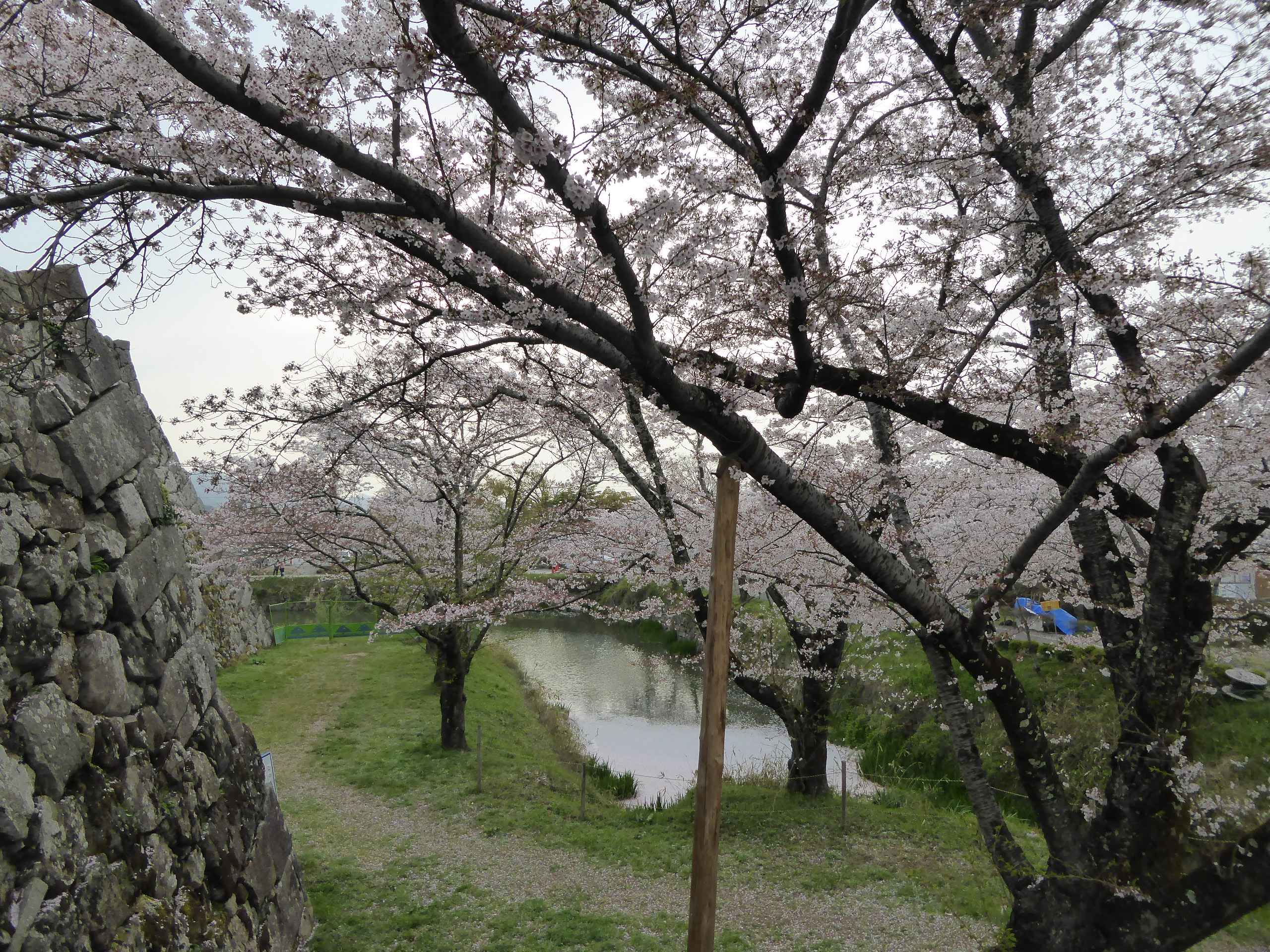 P1050620.JPG