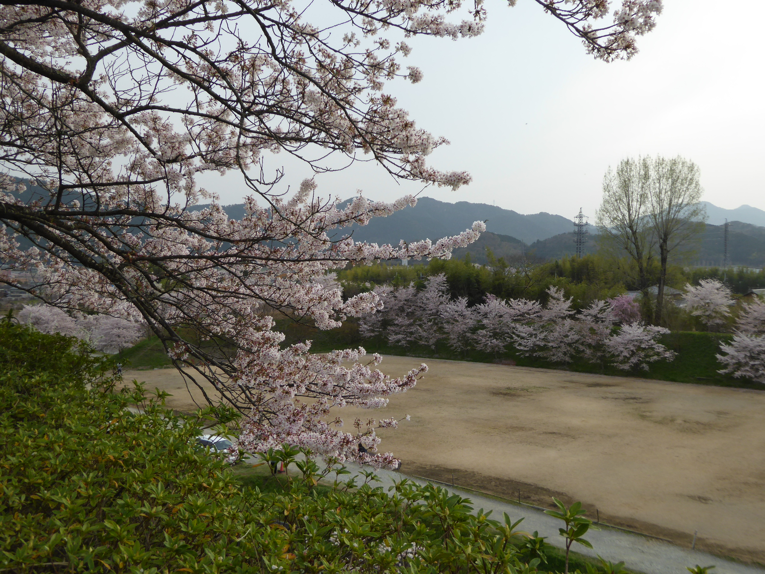 P1050622.JPG