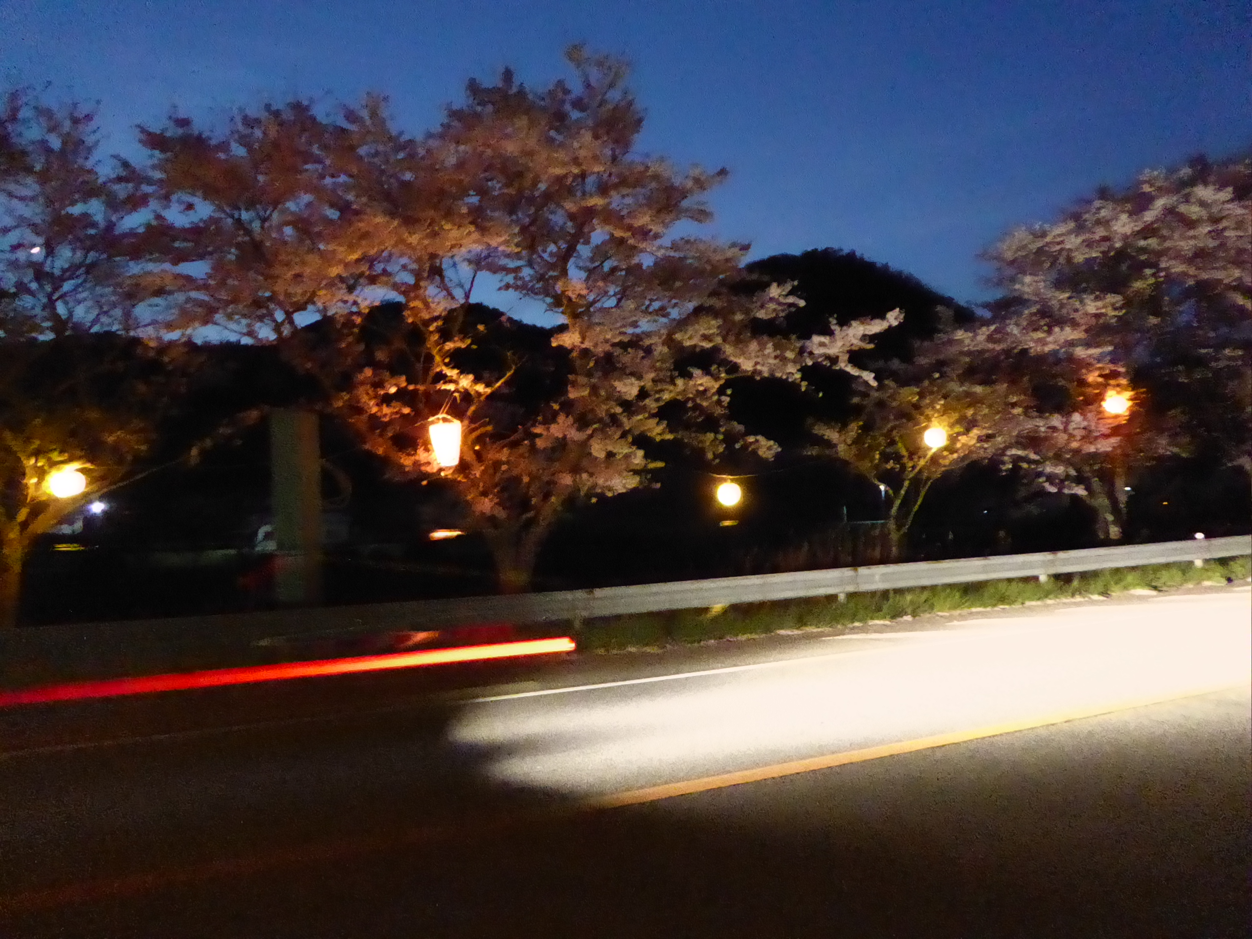 P1050630.JPG