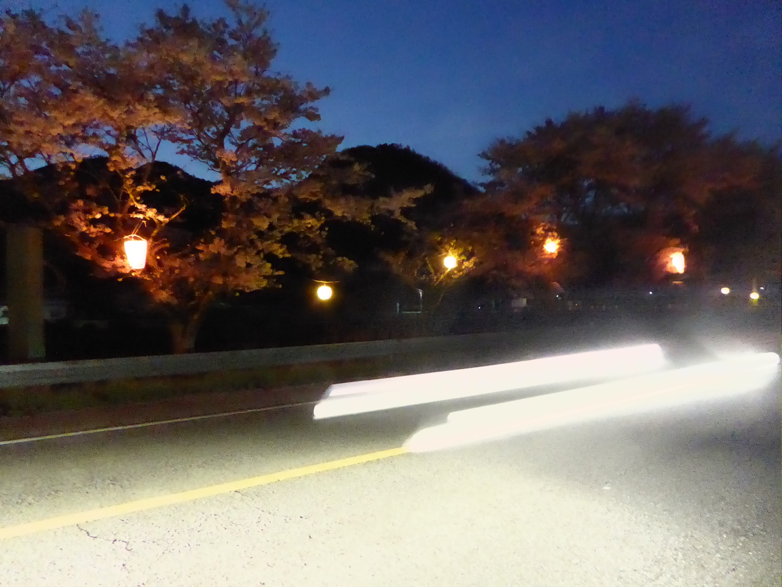 P1050631.JPG