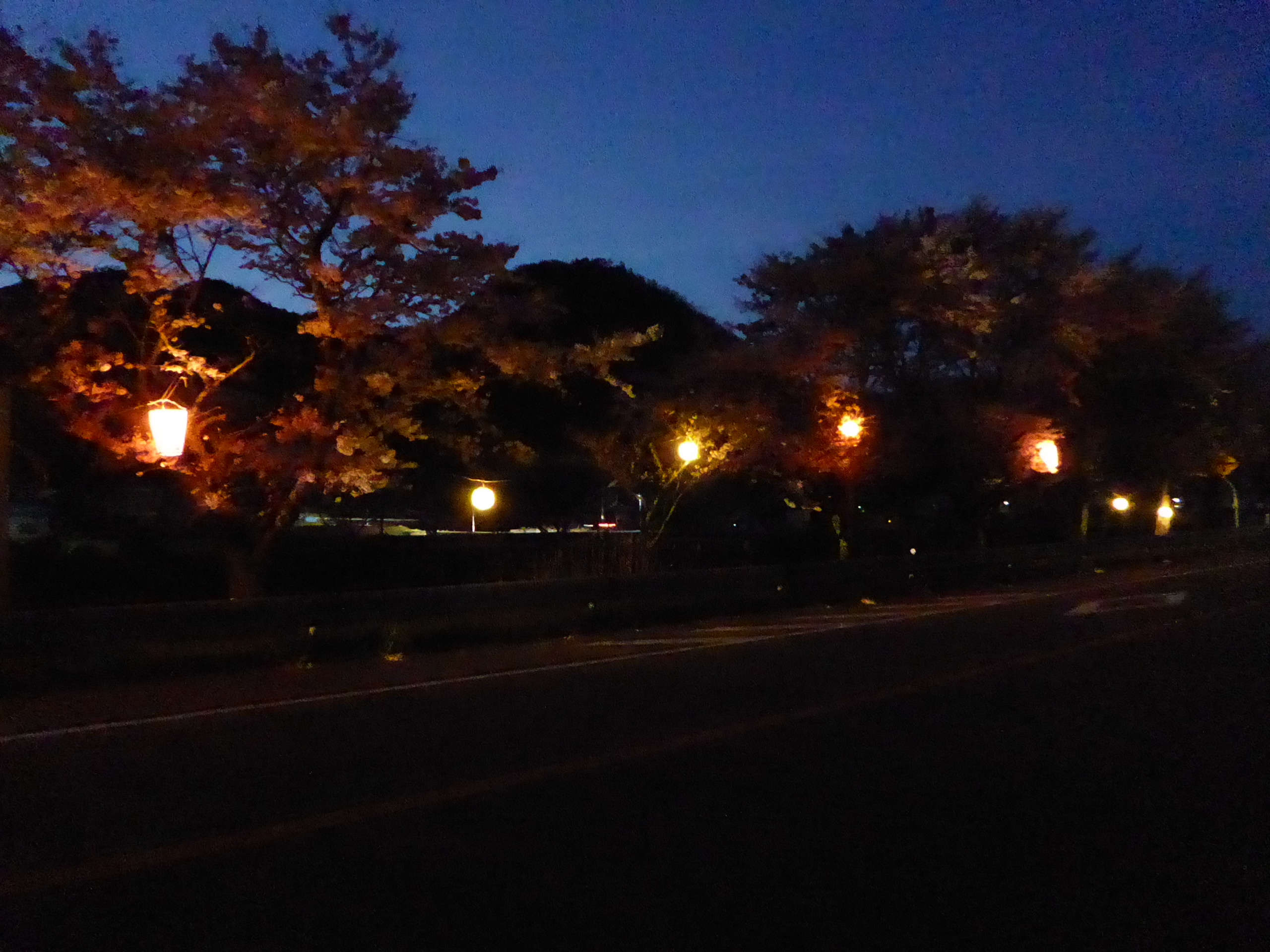 P1050632.JPG