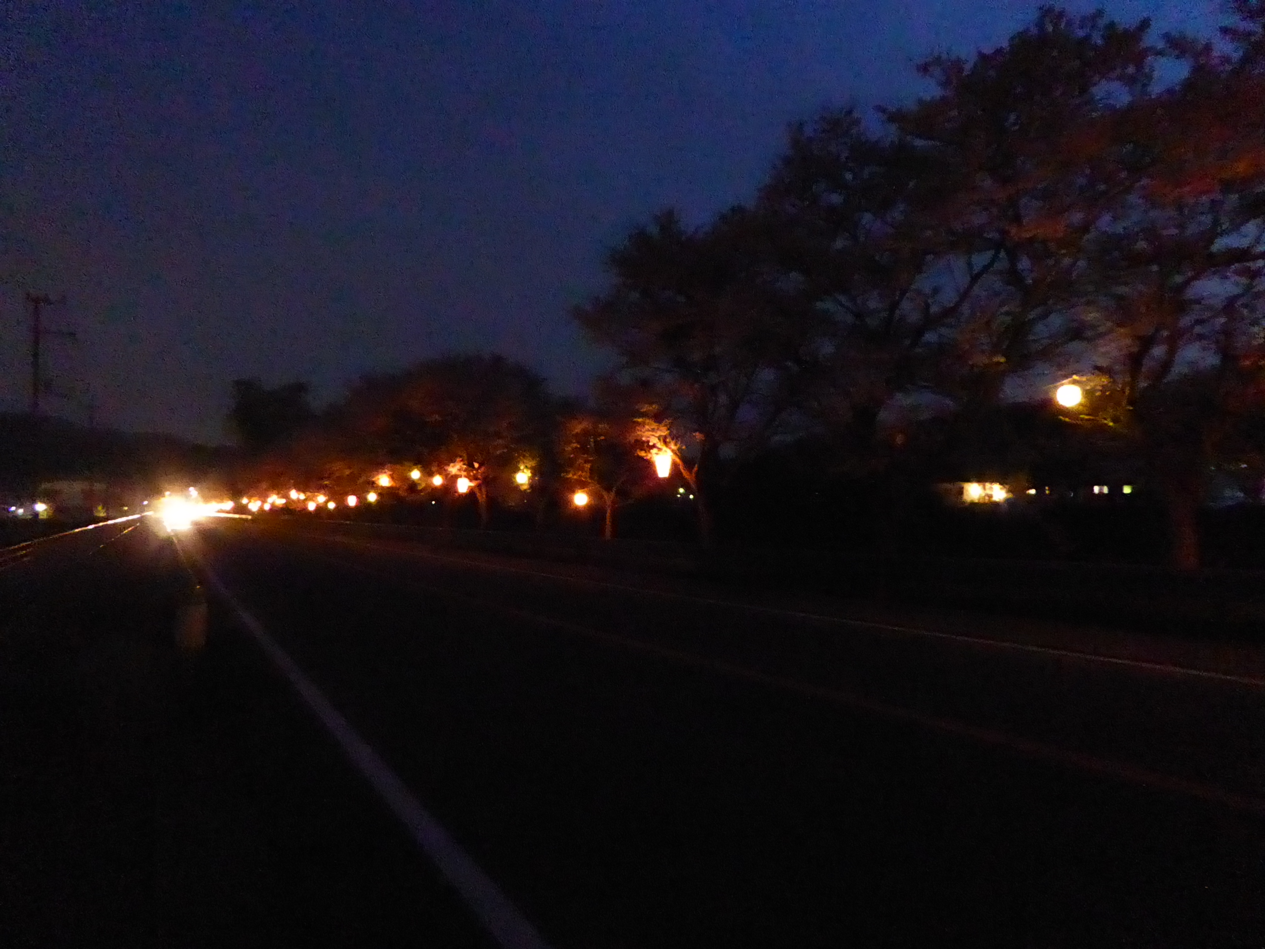 P1050633.JPG