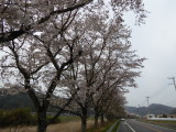 img0000.jpg