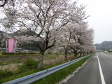 img0003.jpg