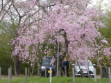 img0004.jpg