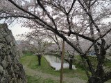 img0005.jpg