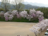 img0006.jpg