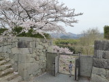 img0009.jpg