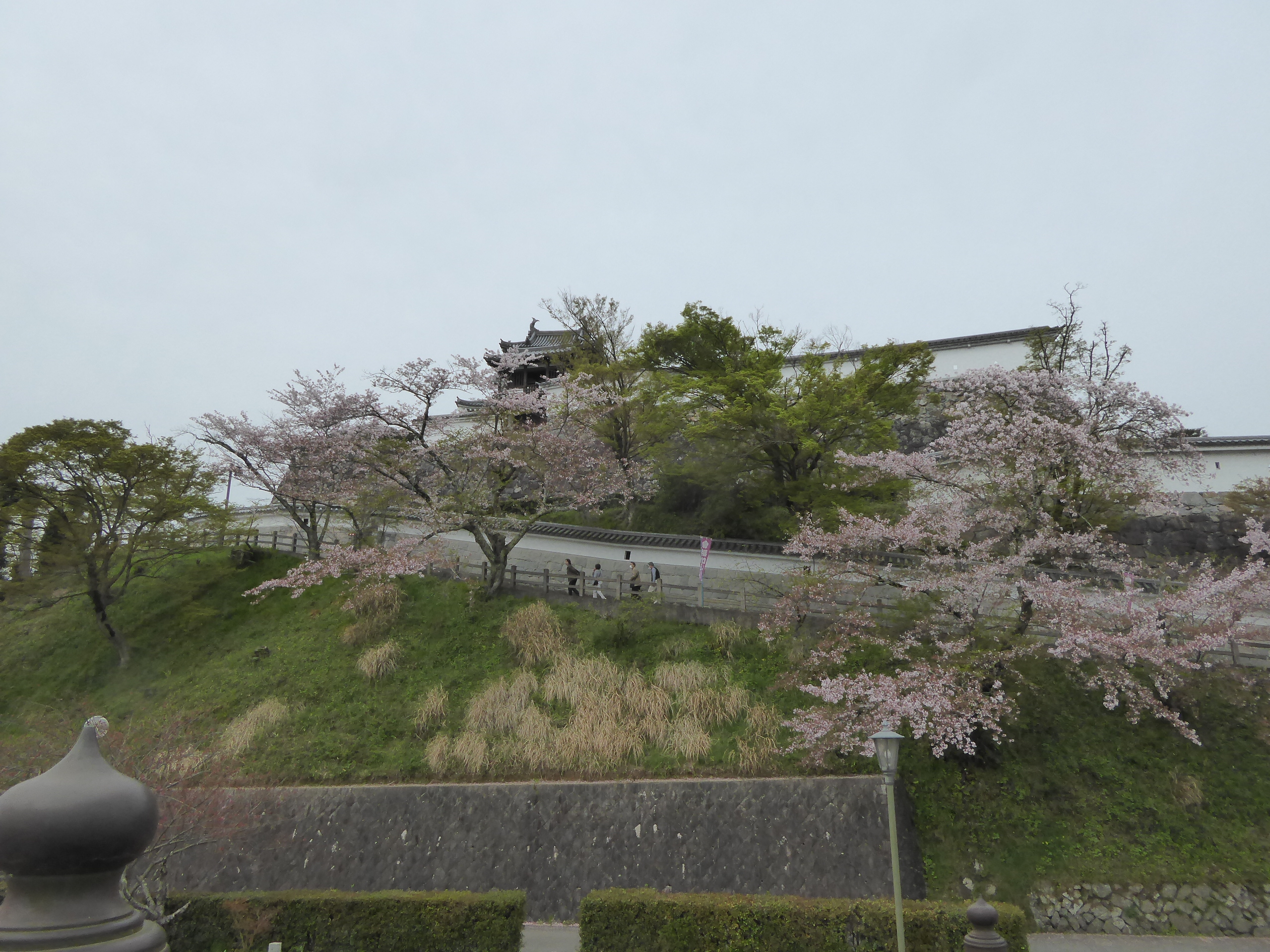 P1050637.JPG