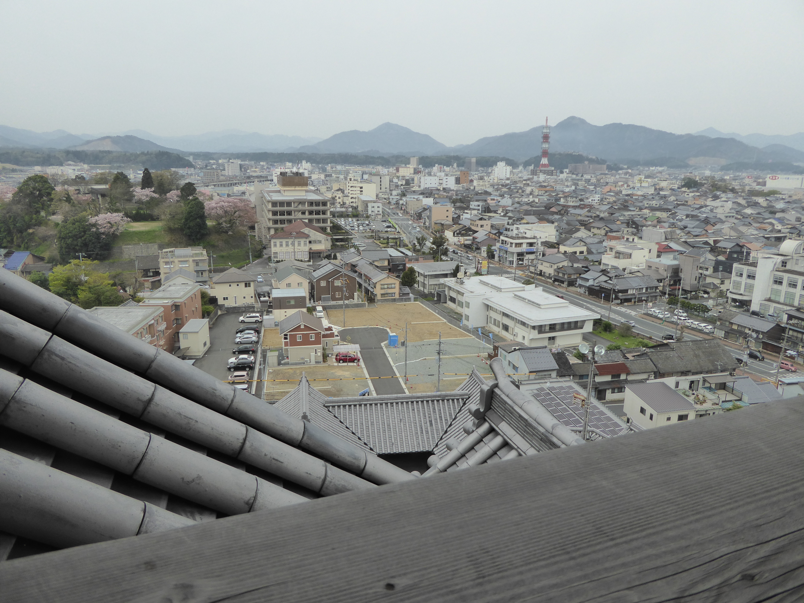 P1050642.JPG