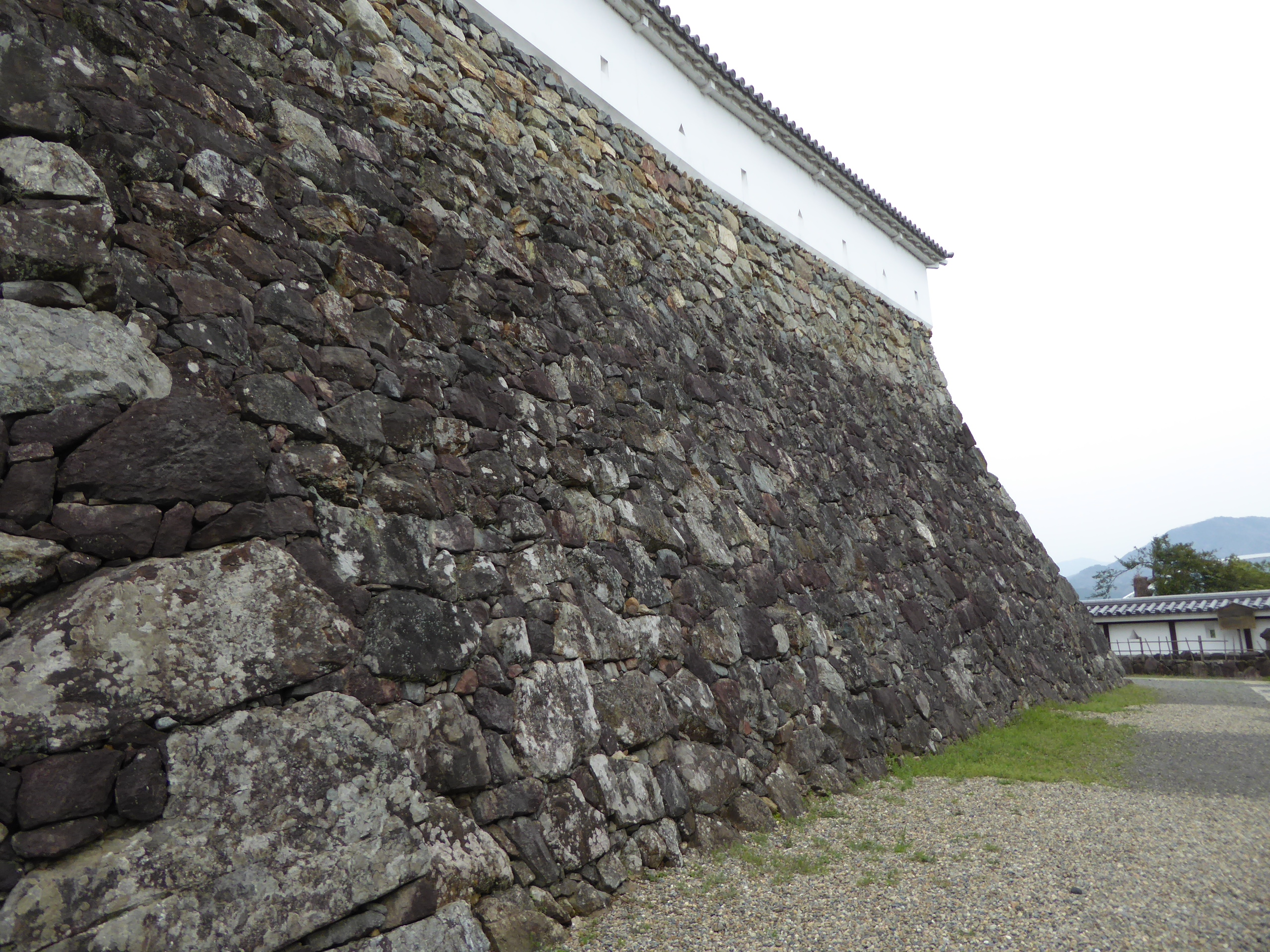 P1050645.JPG