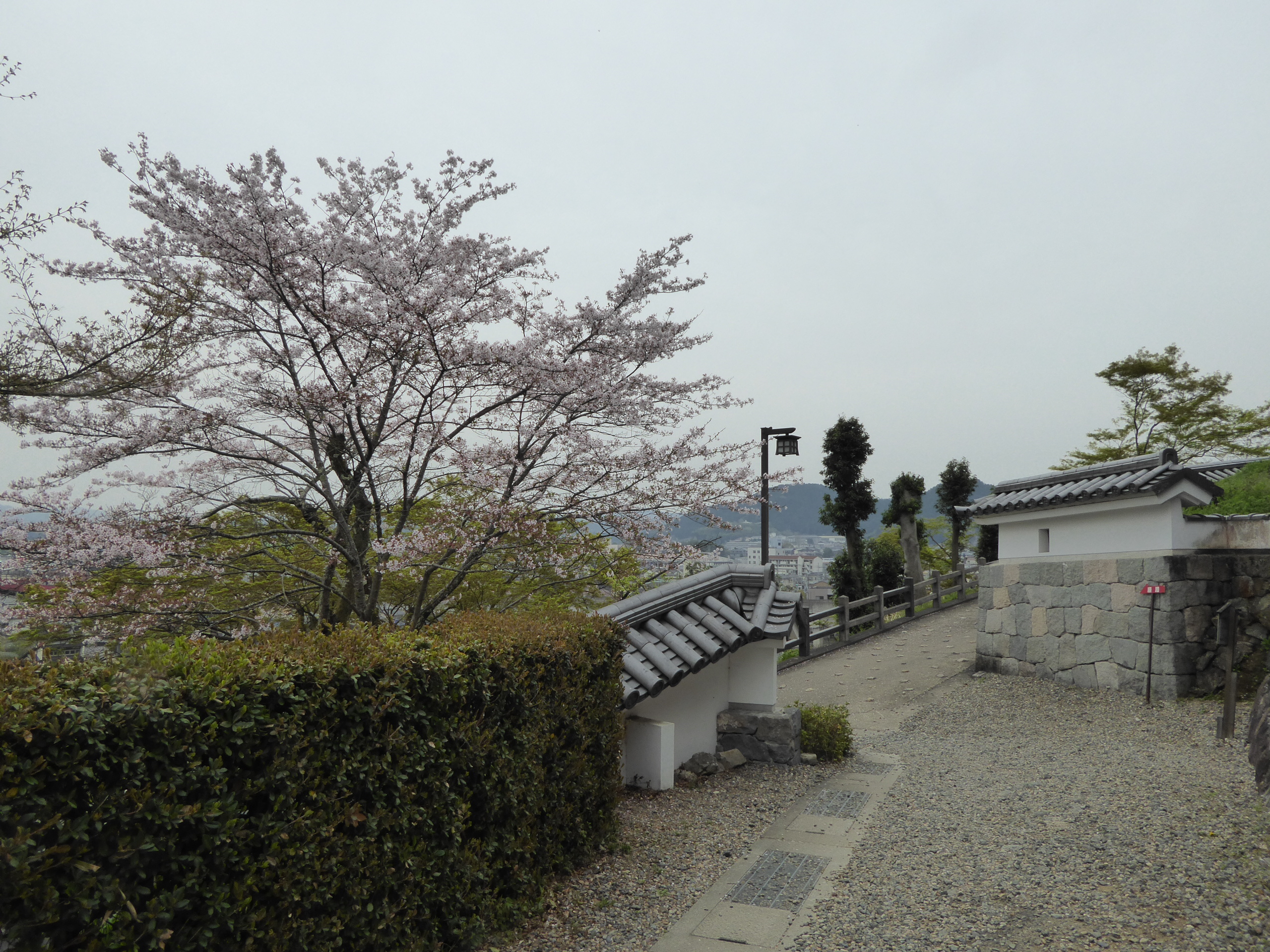 P1050646.JPG