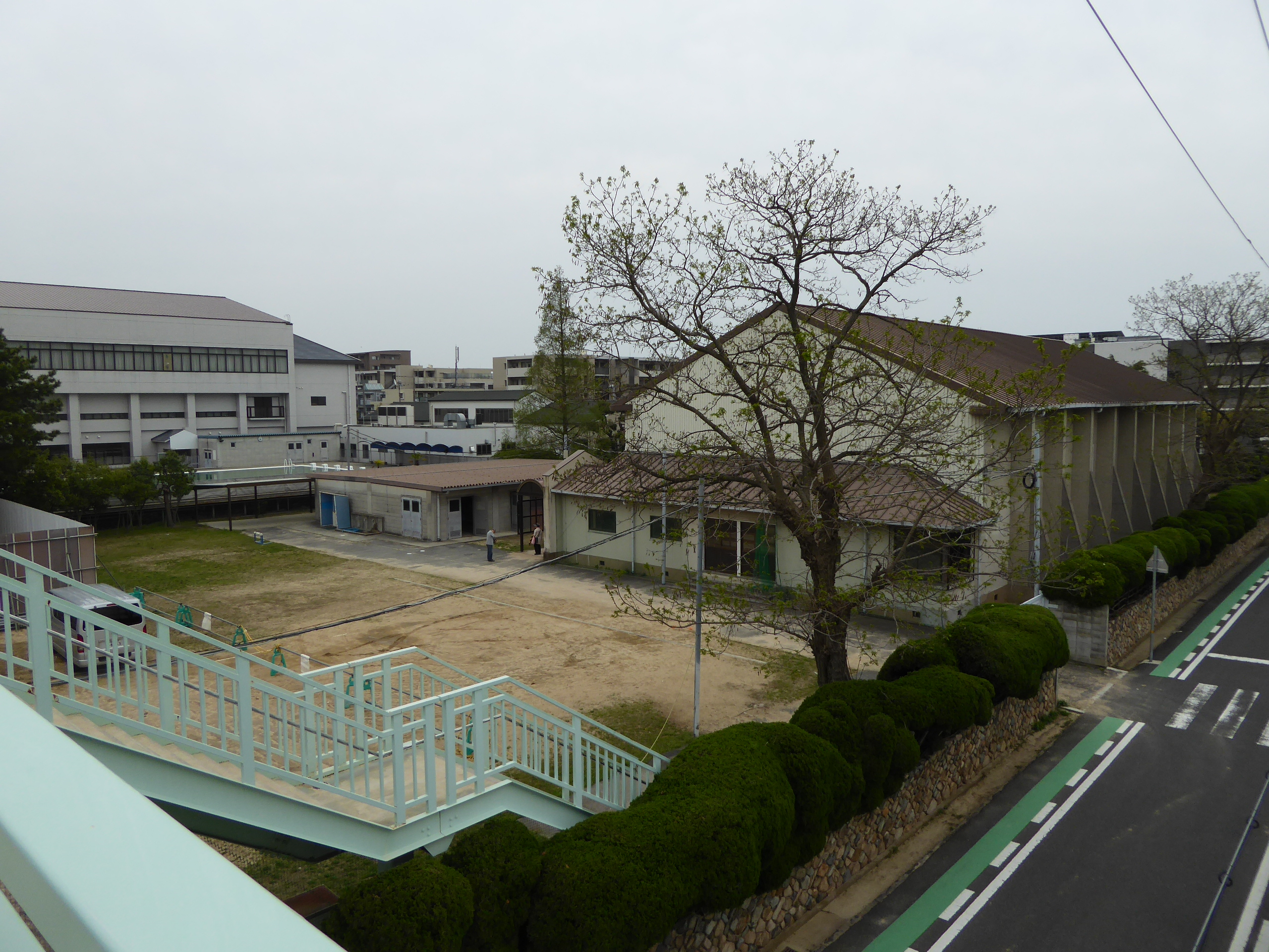 P1050674.JPG