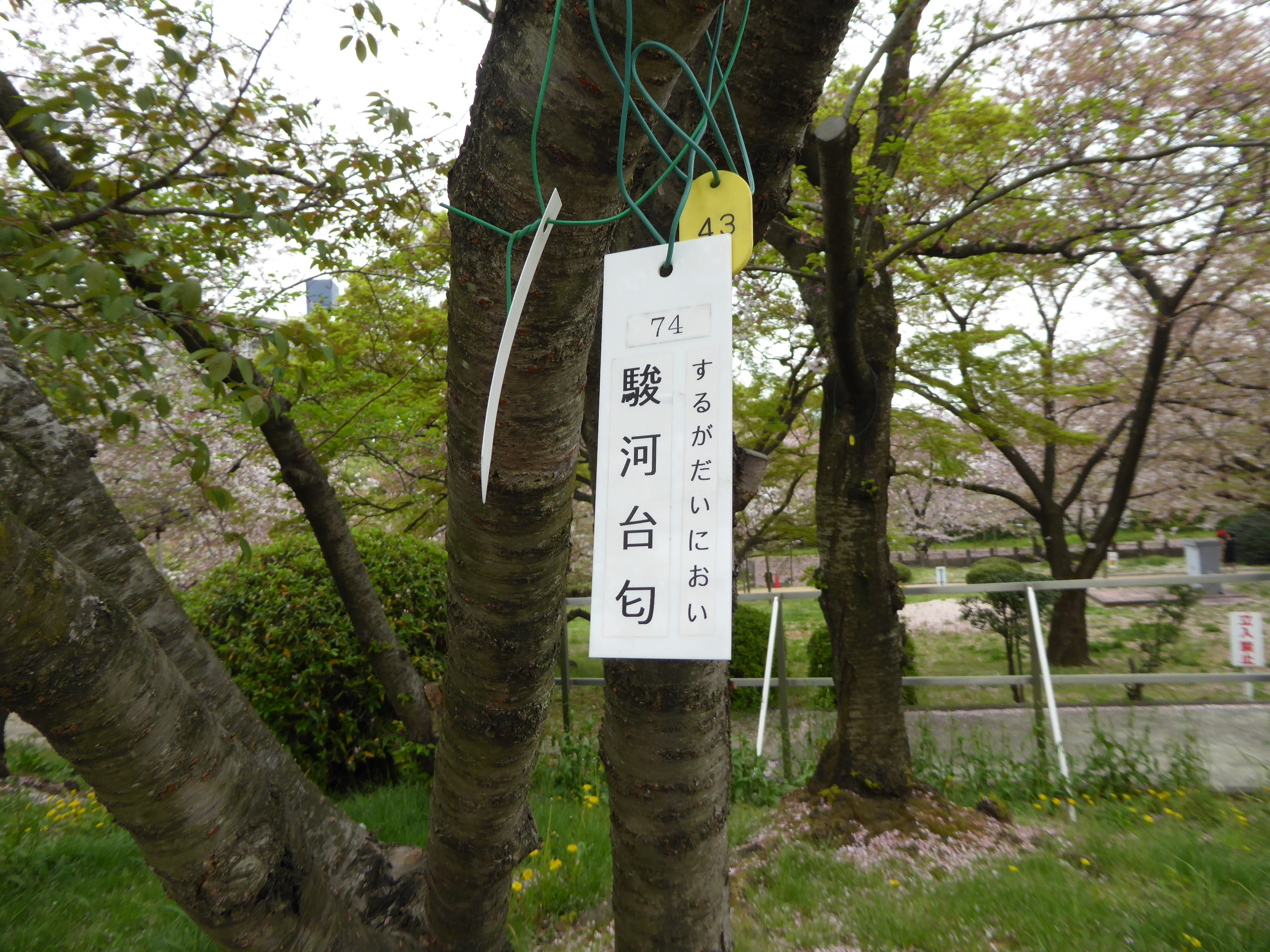 P1050685.JPG