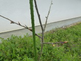 img0002.jpg