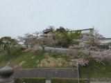 img0003.jpg