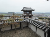 img0005.jpg