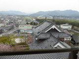 img0007.jpg
