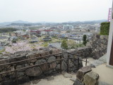 img0010.jpg